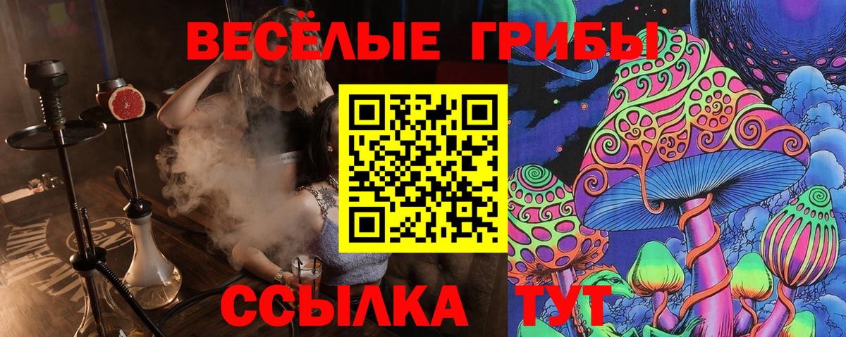 Галлюциногенные грибы GOLDEN TEACHER  Вход с VPN  Избербаш  Псилоцибиновые грибы MAGIC MUSHROOMS 