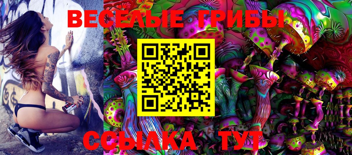 Псилоцибиновые грибы Psilocybe Избербаш